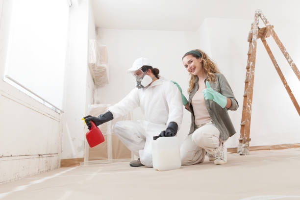 Mold Remediation for Rental Properties